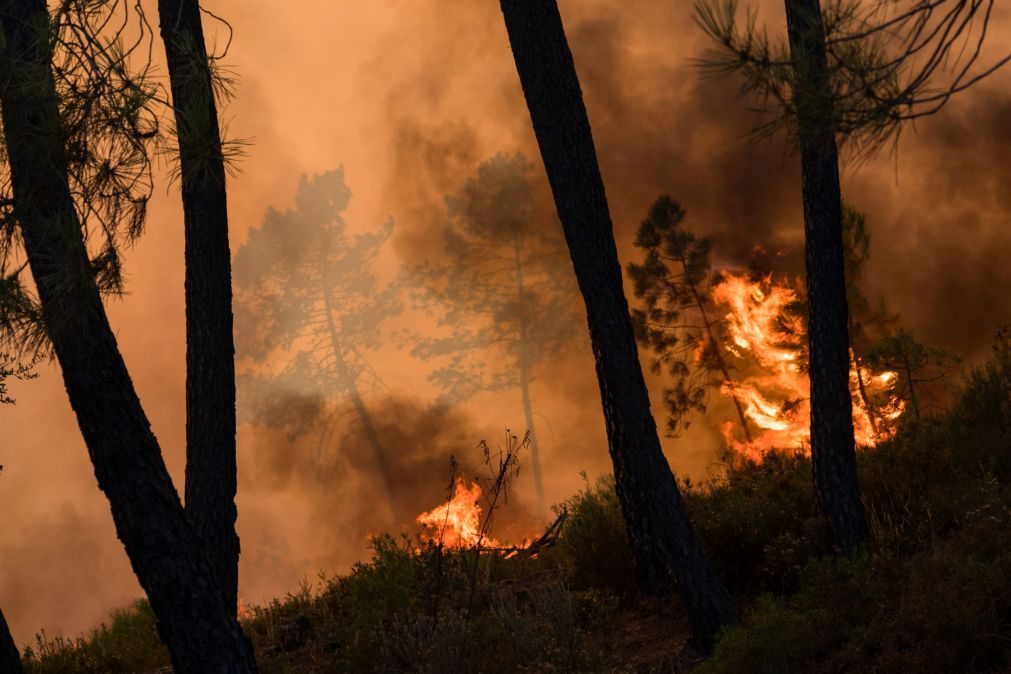 Incêndios: Fogo de Mação continua hoje muito ativo