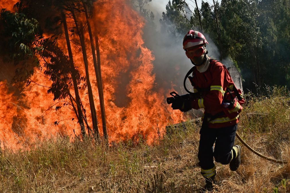 ÚLTIMA HORA: Mais de 250 operacionais e sete meios aéreos combatem incêndio em Tábua