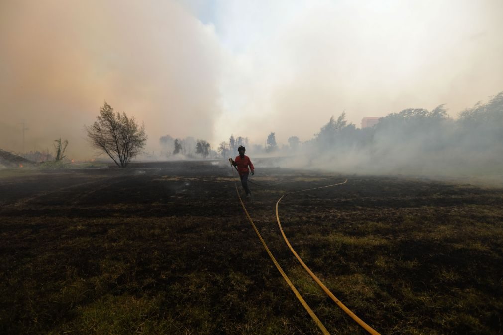 Avião que combatia incêndio em Abrantes sofre acidente