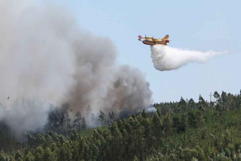 Mais de 10 meios aéros mobilizados para incêndios em Santarém e Setúbal