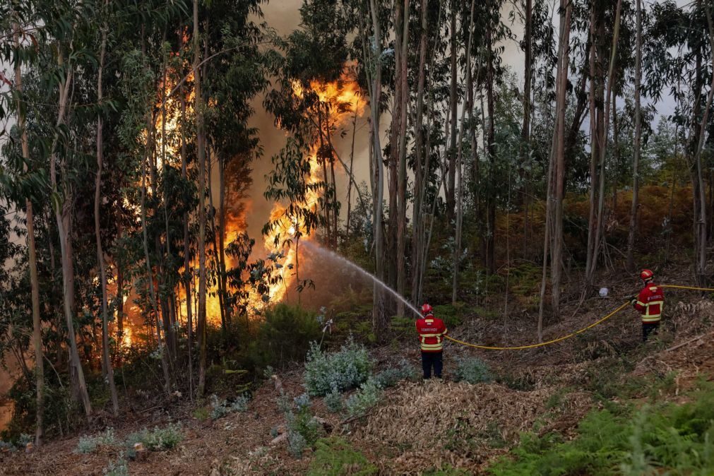 Incêndios: 74 feridos entre 8 e 14 de agosto