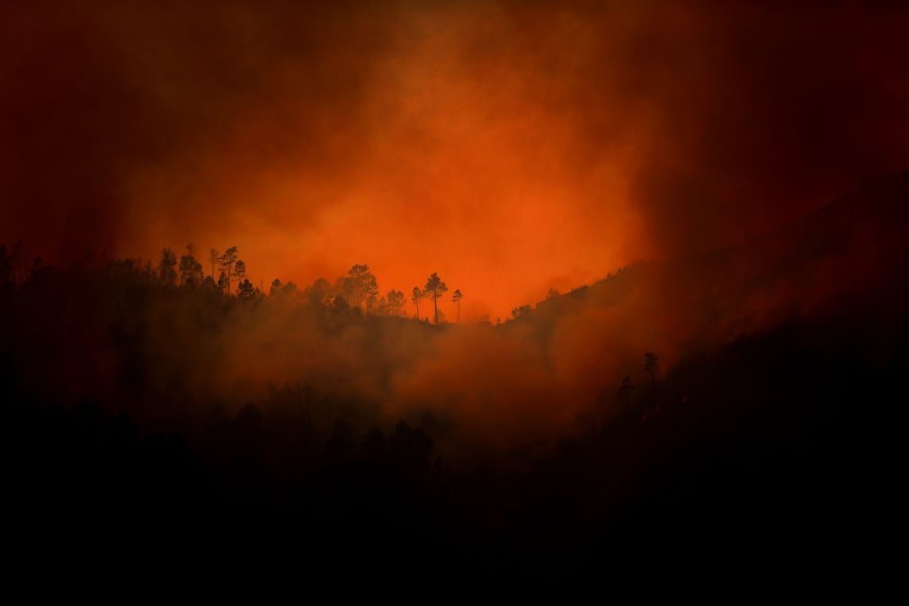 Incêndio de Sabrosa sofre reativação