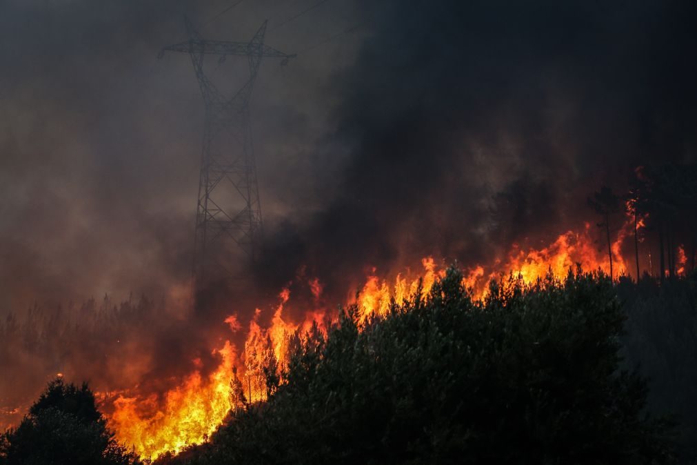 PJ deteve madeireiro suspeito de atear fogo florestal em Fafe